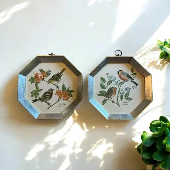 Vintage Hexagon Framed Bird Pictures - Picture 1 of 8